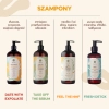 HairTry - Fresh Detox - Szampon Detoksykujący - 250 ml
